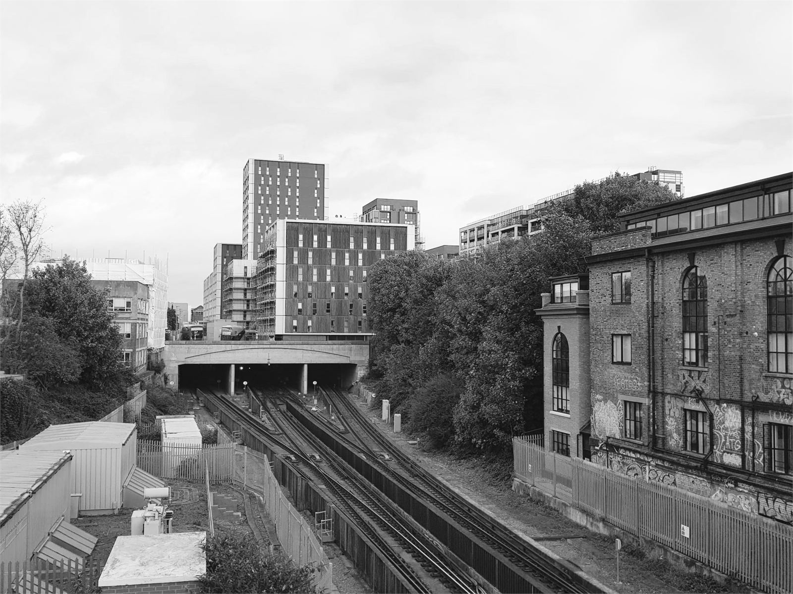 Forest Road — the site before the work