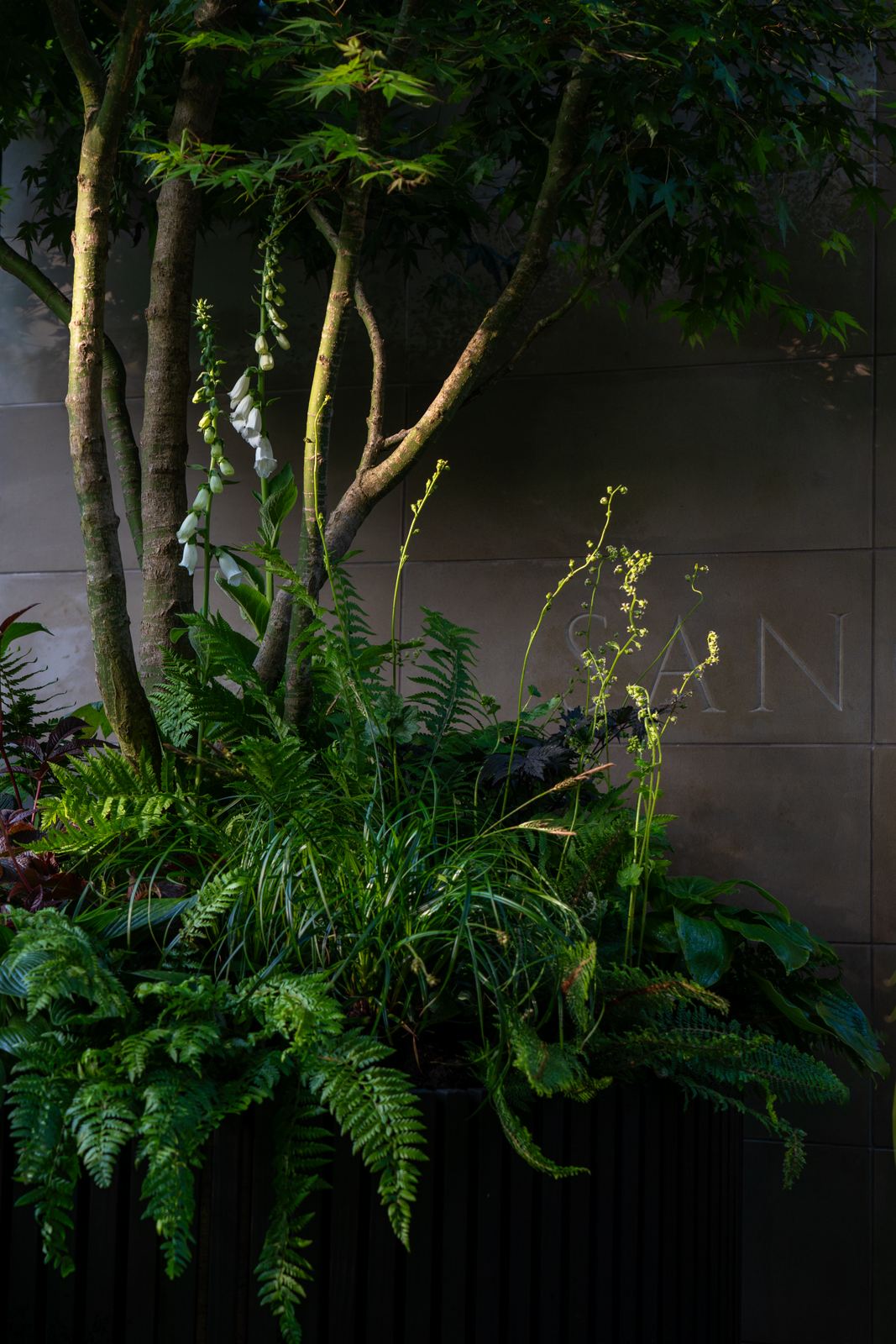 Sanctum Garden — the completed building